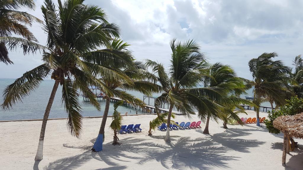Anchorage Beach Resort Caye Caulker Exteriér fotografie